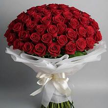 Букет 101 Красная роза Блэк Мэджик в Дубровке