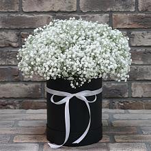 Цветочная композиция из Гипсофила в шляпной коробке в Дубровке