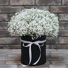 Цветочная композиция из Гипсофила в шляпной коробке в Дубровке